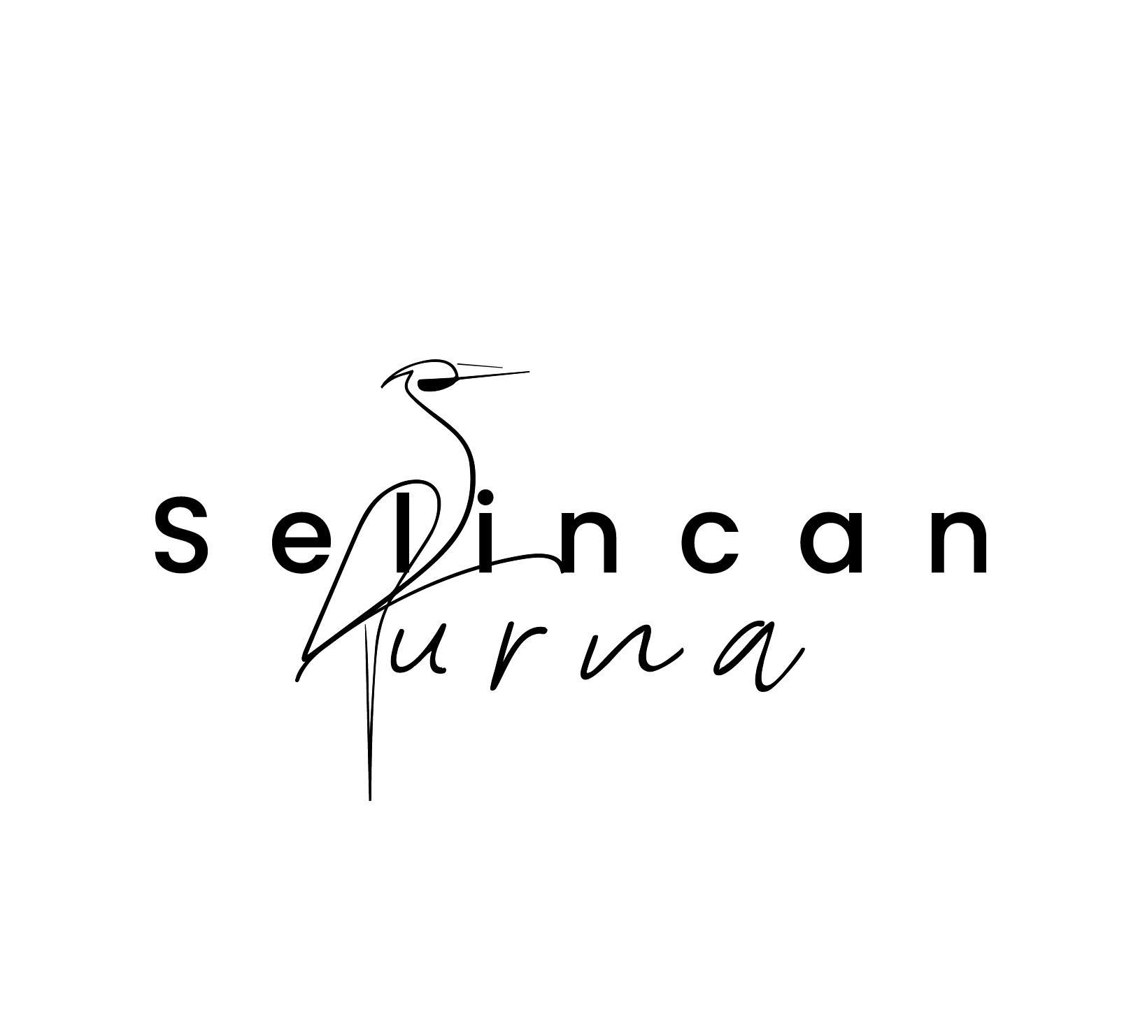 Selincan Turna